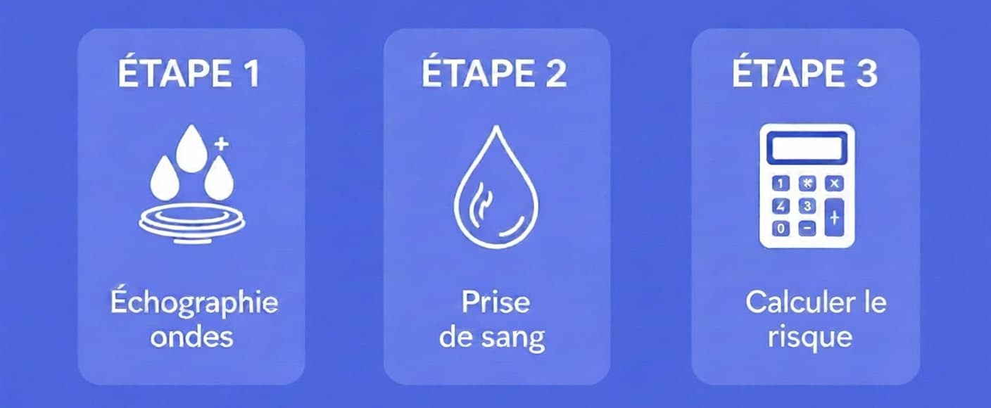 Illustration des étapes de dépistage de la trisomie 21: échographie, prise de sang et calcul du risque.